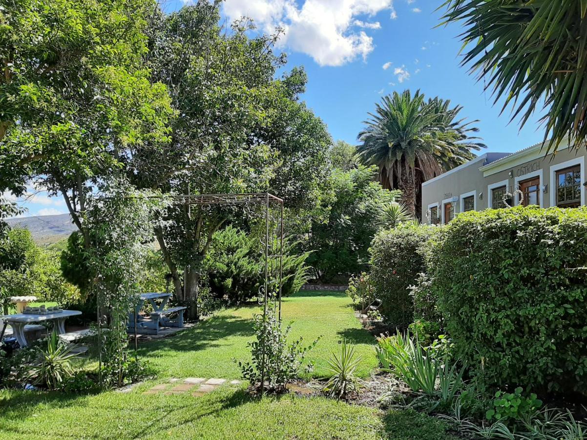 Karoo Life B&B Калицдорп Экстерьер фото