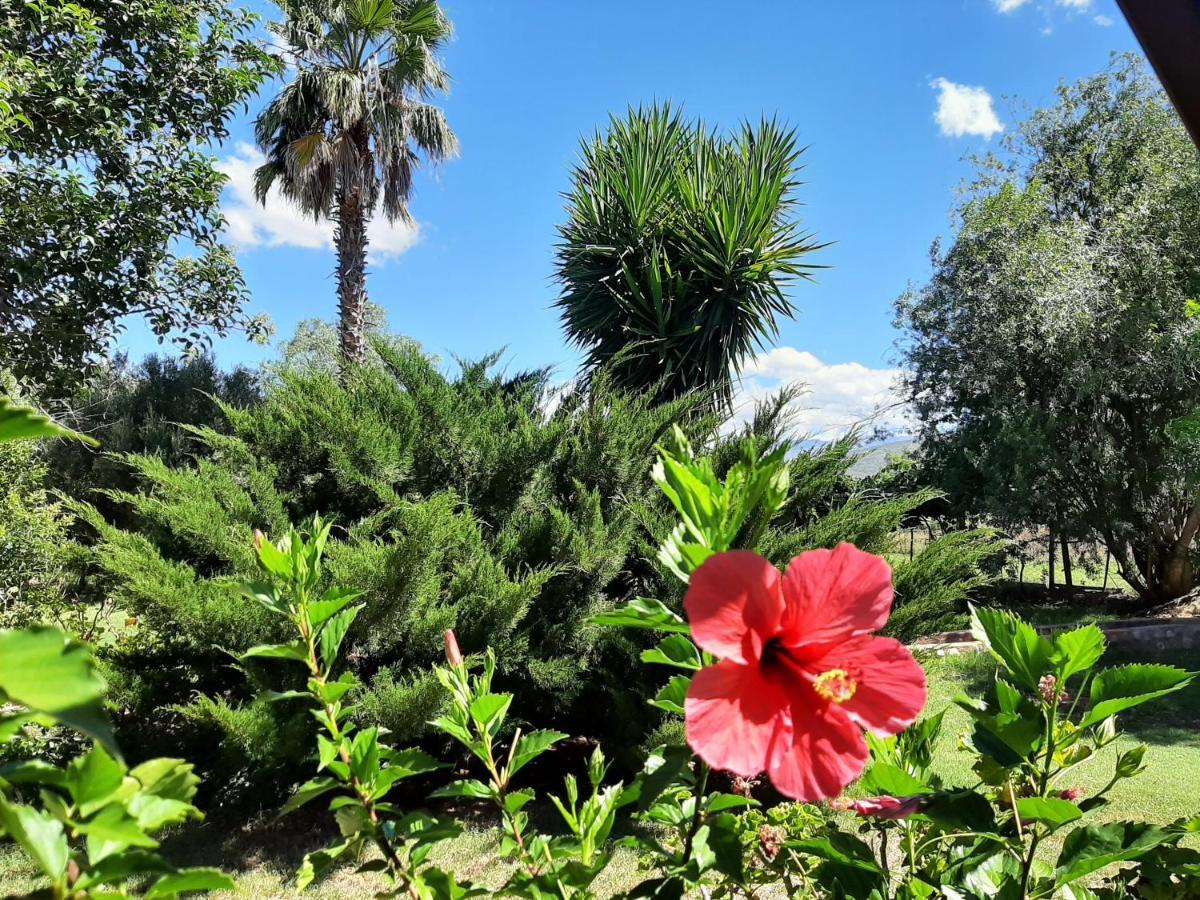 Karoo Life B&B Калицдорп Экстерьер фото